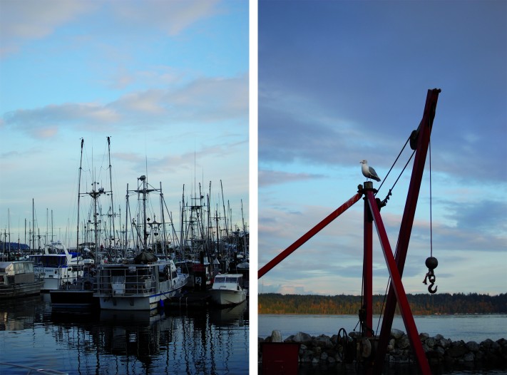 Vancouver Island on wide angle wanderings